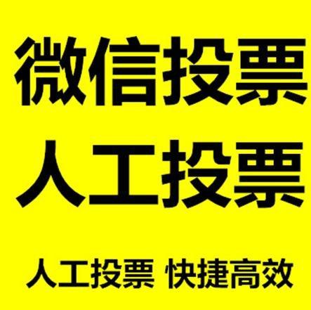 攀枝花市微信刷票怎么投票